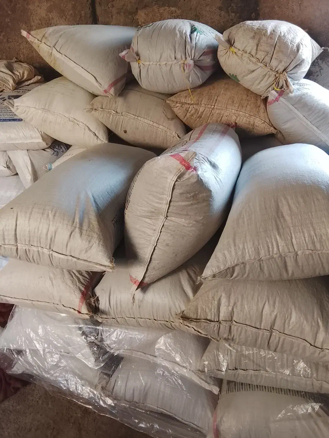 ماش ارتشی کمباین|خوردنی و آشامیدنی|گتوند, |دیوار