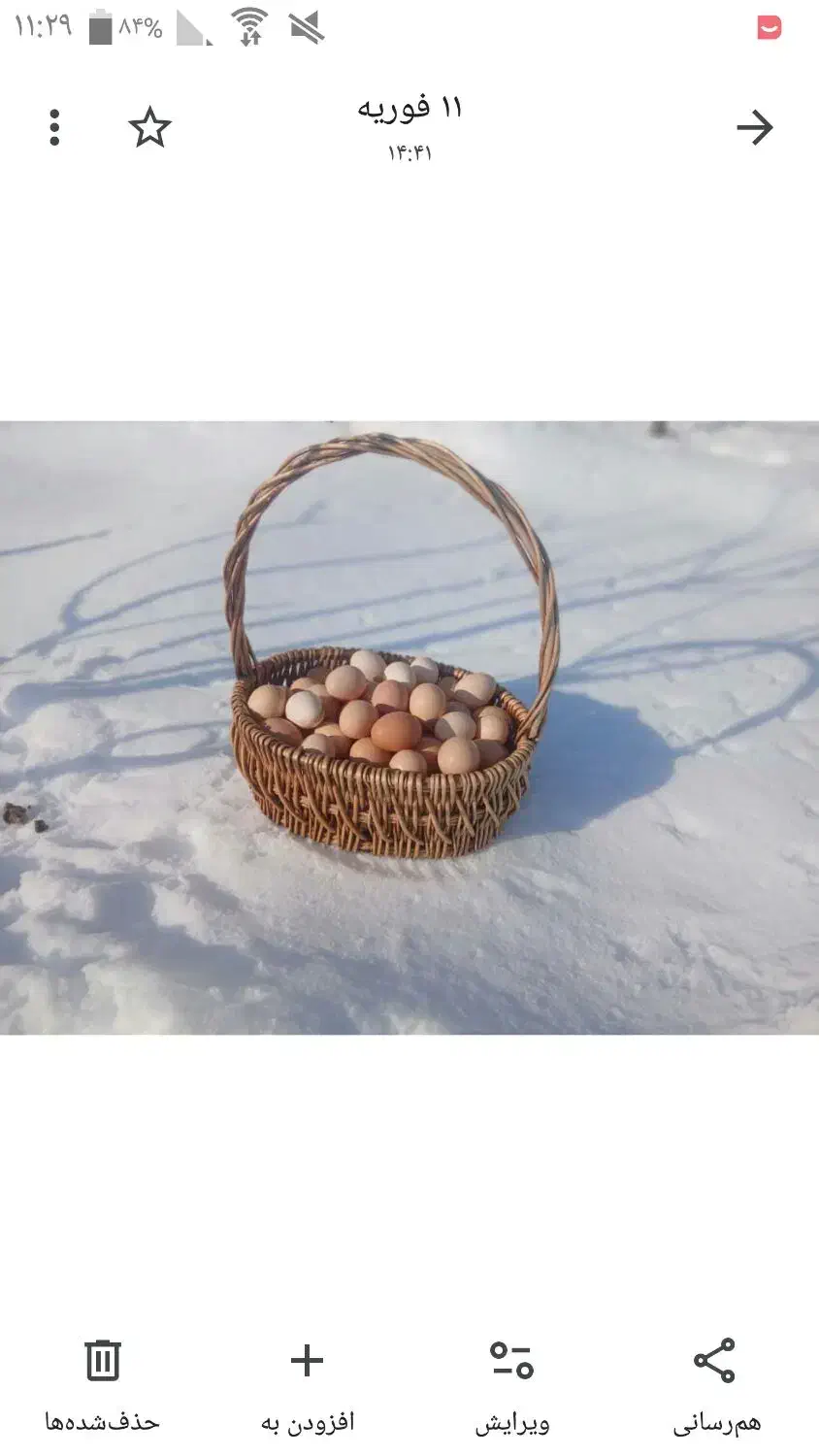 فروش تخم مرغ محلی ارگانیک و تخم بلدرچین|خوردنی و آشامیدنی|سقز, |دیوار