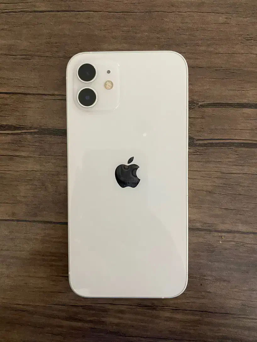 ایفون ۱۲ نرمال|موبایل|مشهد, الهیه|دیوار