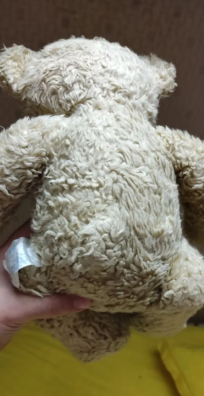 عروسک خرسی (Teddy)|اسباببازی بچه|مشهد, کلاهدوز|دیوار