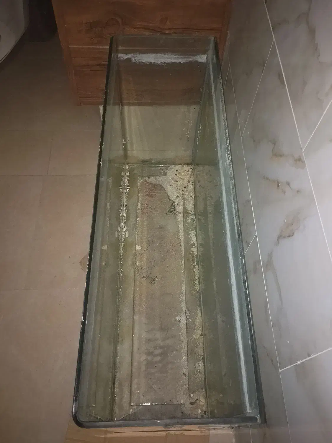 شیشه اکواریوم بزرگ|ماهی|تبریز, |دیوار