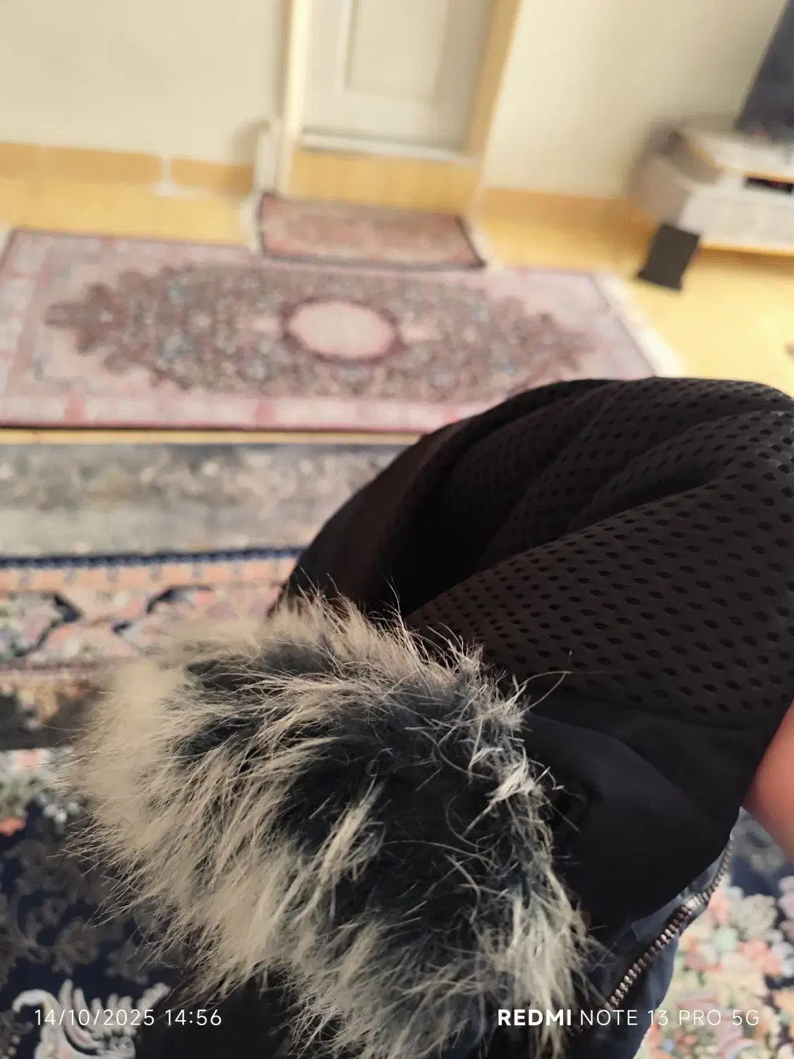 کاپشن پسرانه نو|کفش و لباس بچه|کرمانشاه, |دیوار