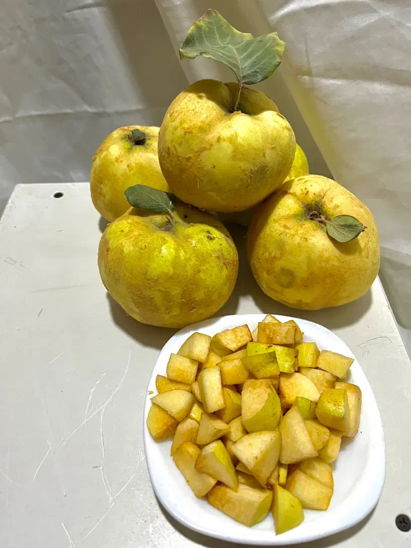 به ارگانیک خورد شده و چای به|خوردنی و آشامیدنی|قم, سالاریه|دیوار