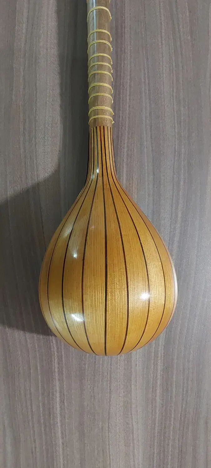 سه تار|سازهای سنتی|تویسرکان, |دیوار