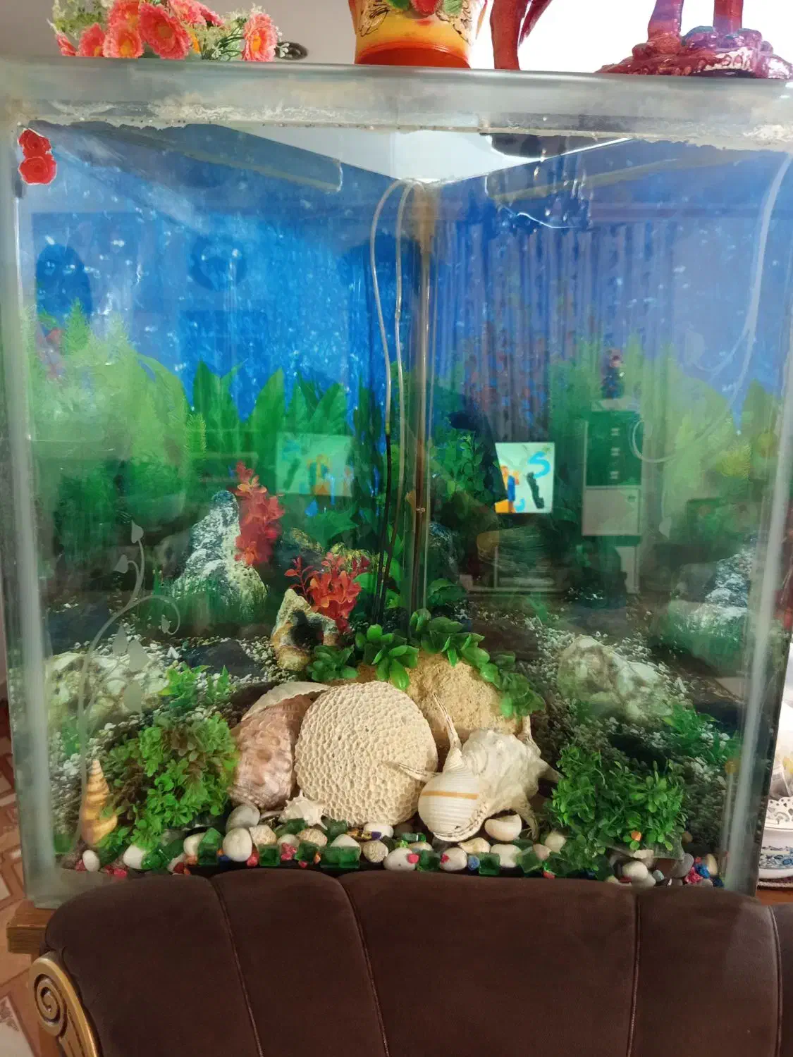 آگهی اکفاریم|ماهی|شیروان (خراسان), |دیوار