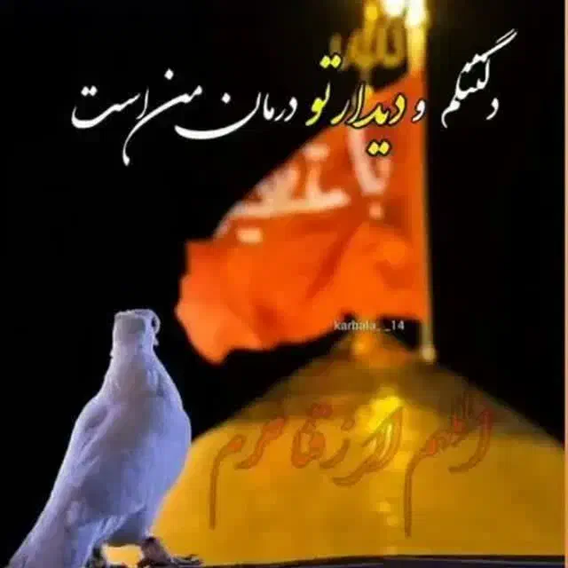 کاروان زیارتی مالک اشتر خادم الحسین|تور و چارتر|مشهد, رضاشهر|دیوار