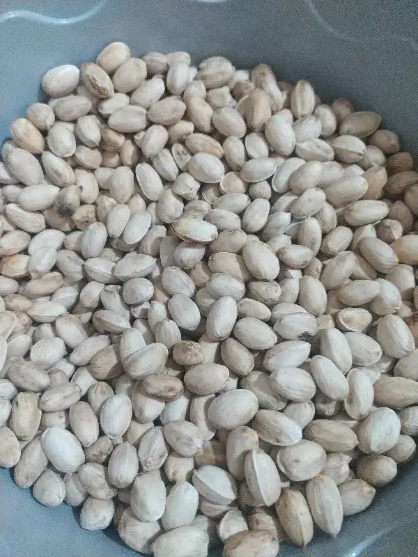 کیلو پسته|خوردنی و آشامیدنی|قرق, |دیوار