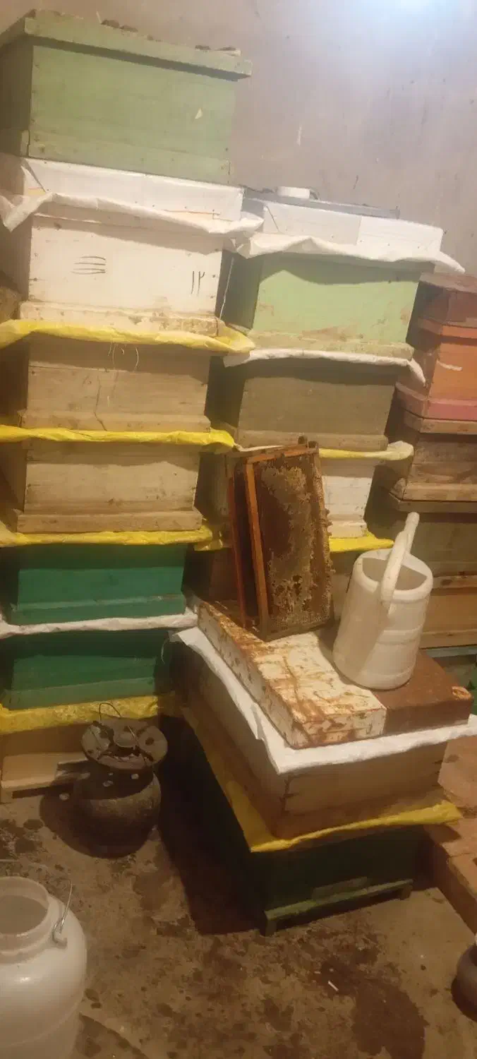 زنبور داری فوری|فروشگاه و مغازه|ماکو, |دیوار