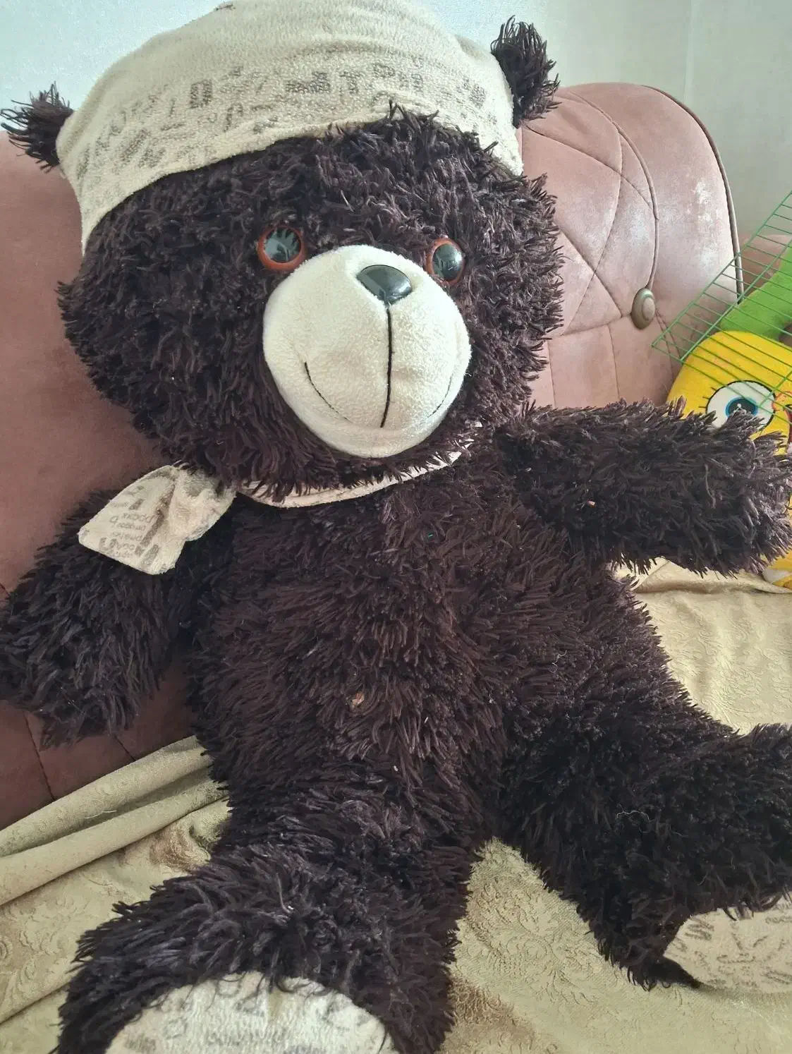 عروسک|اسباب‌بازی بچه|شاهین‌شهر, خبرنگار|دیوار