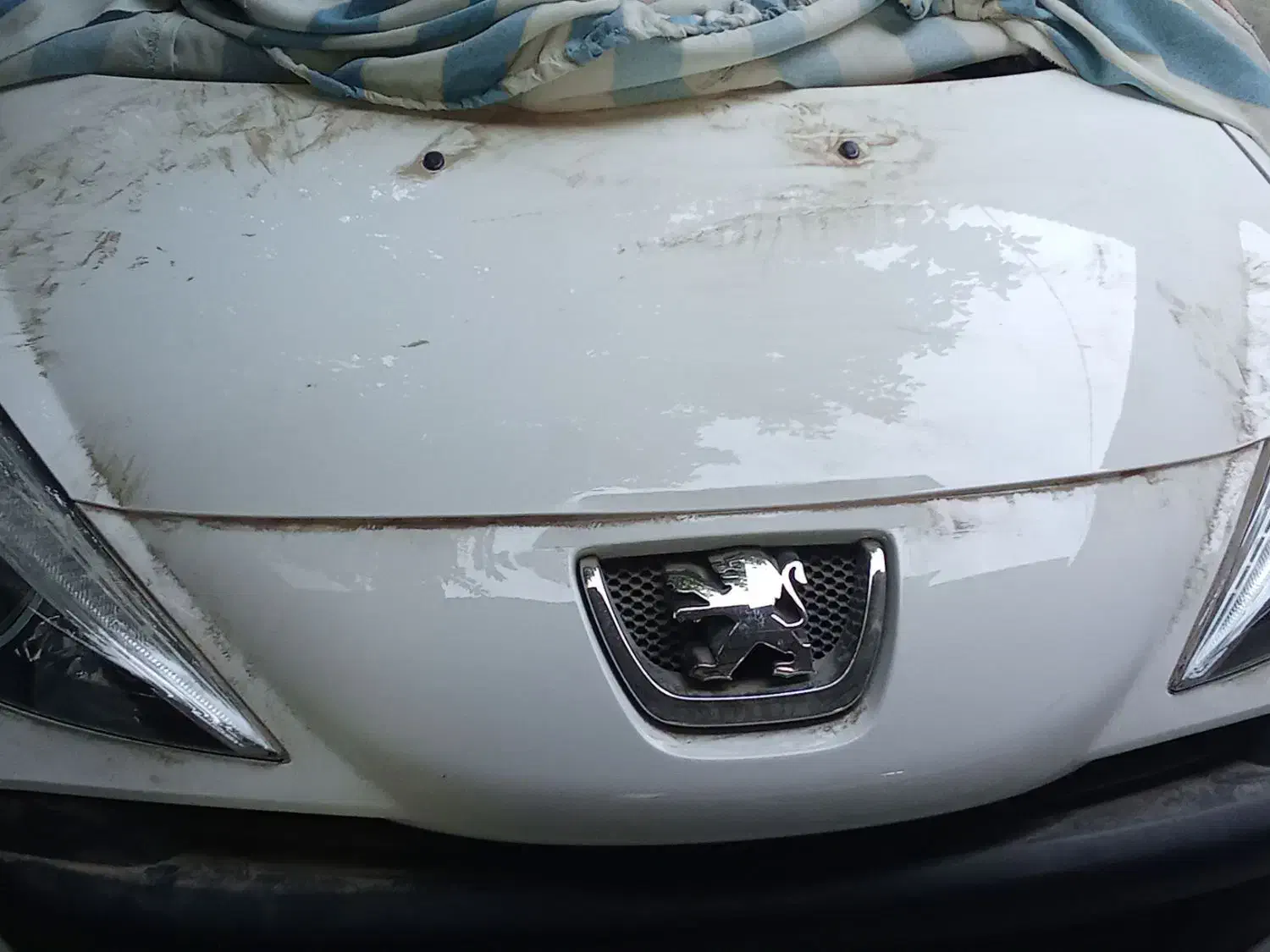 پژو 207|خودرو سواری و وانت|بندر گناوه, |دیوار