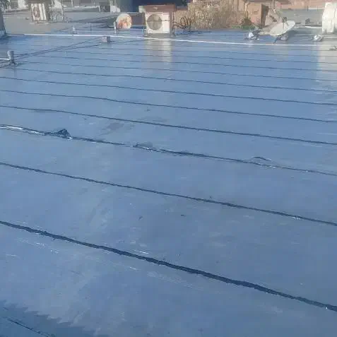 نمایندگی ایزوگام های دلیجان|خدمات پیشه و مهارت|دزفول, |دیوار