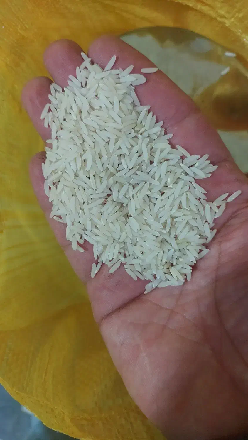 برنج طارم هاشمی بوجاری|خوردنی و آشامیدنی|بهشهر, |دیوار