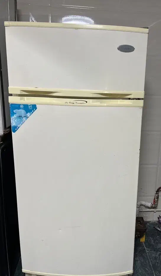 یخچال|یخچال و فریزر|قیدار, |دیوار