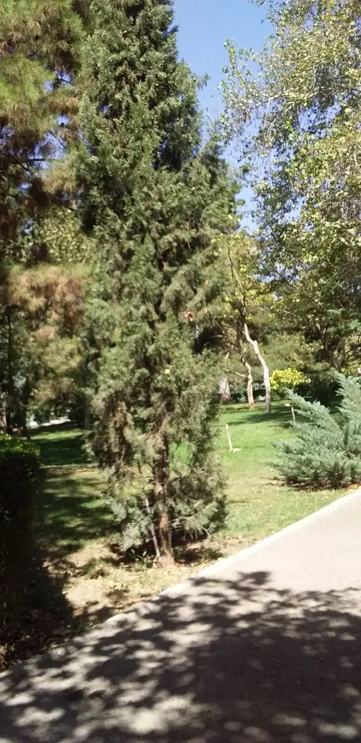 طبیعت گردی|فعالیت داوطلبانه|تهران, اکباتان|دیوار