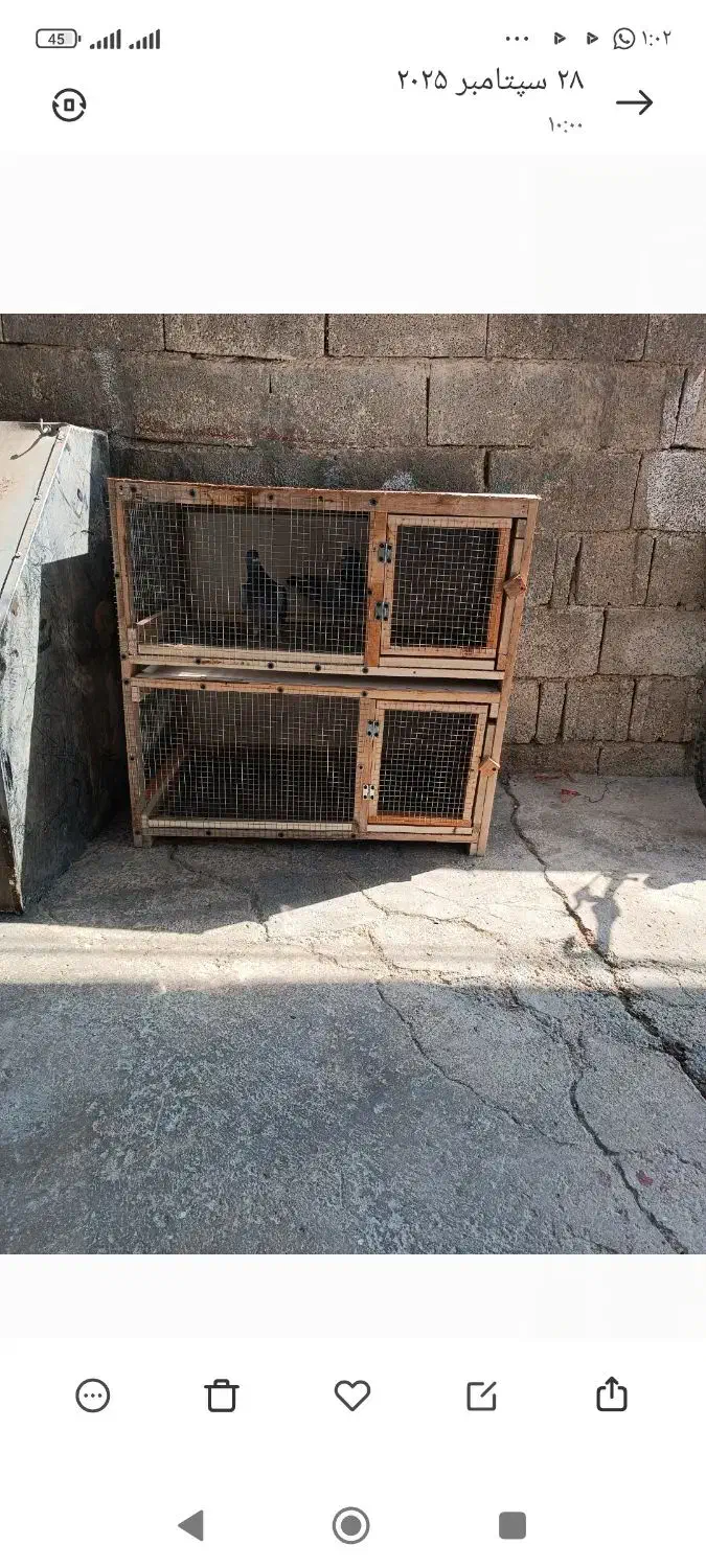 قفس جفتخون|لوازم جانبی حیوانات|چغادک, |دیوار