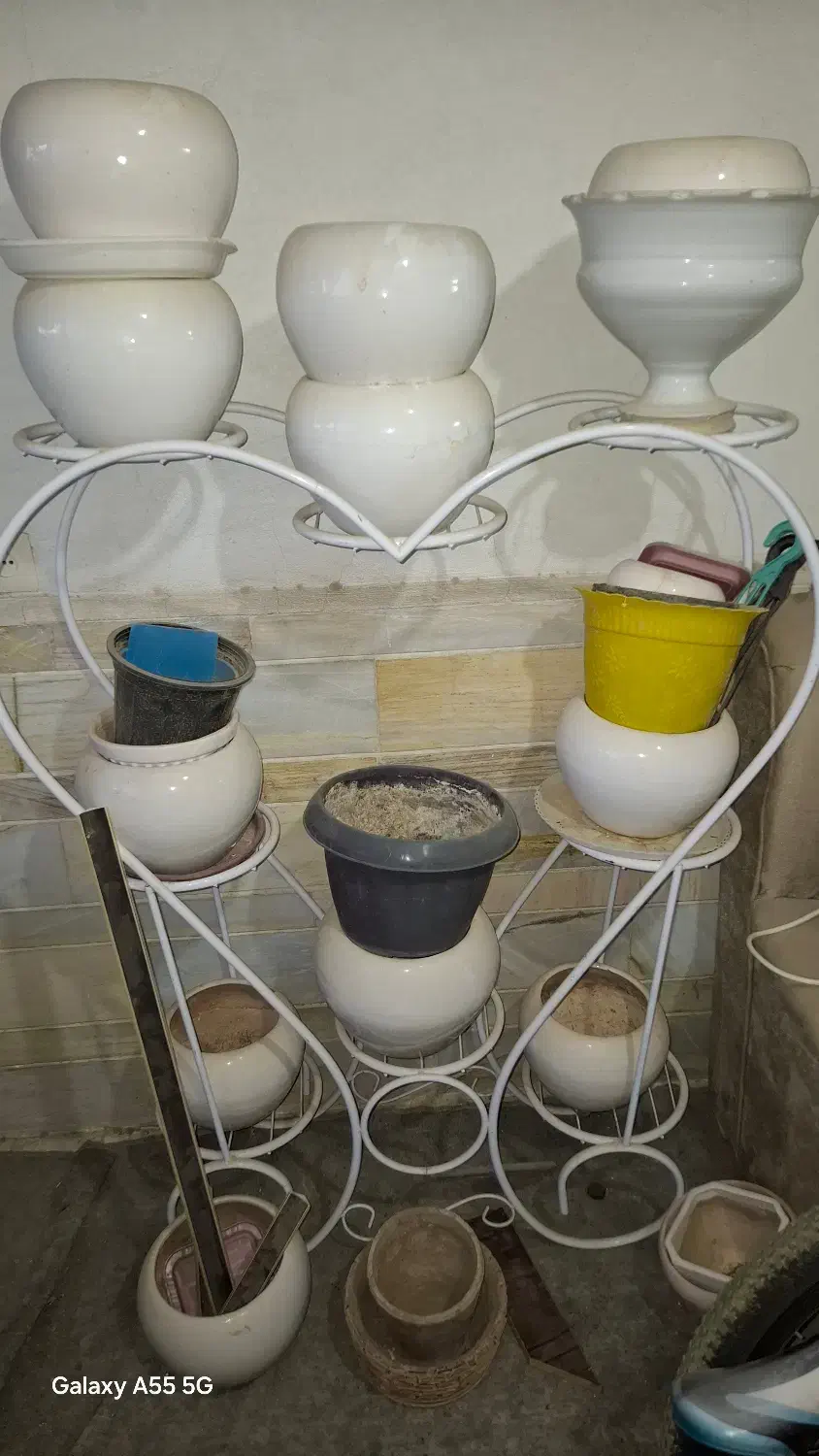 استندگل و گلدان خالی|گل و گیاه طبیعی|کرمان, |دیوار