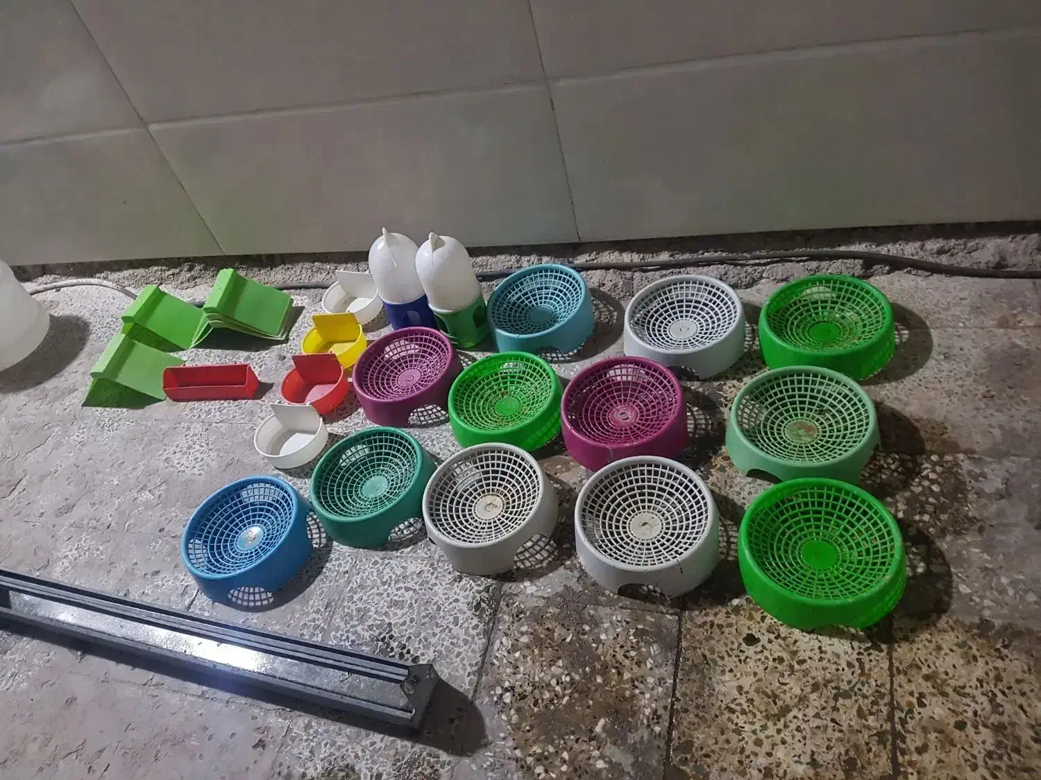 لوازم جانبی کبوتر|لوازم جانبی حیوانات|اهواز, کمپلو جنوبی|دیوار