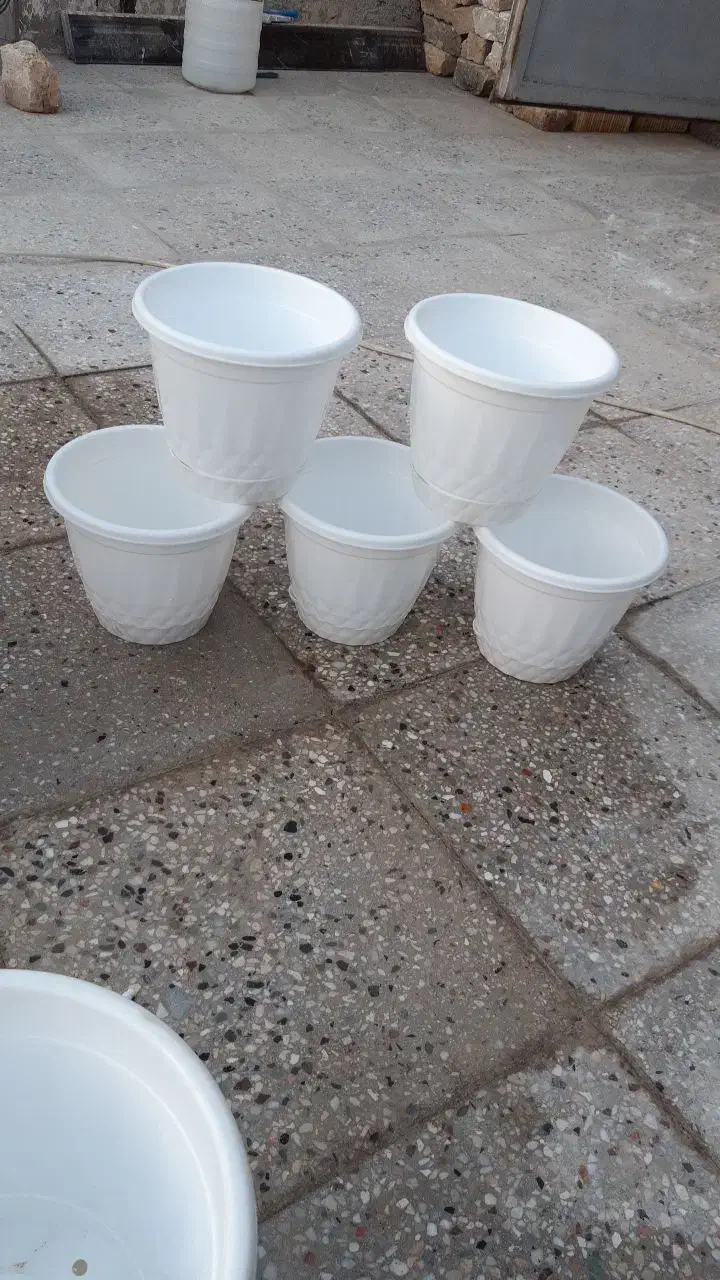 گلدان پلاستیکی محکم وسالم وتمیز در حد نو|گل و گیاه طبیعی|ری, شهرک نظامی|دیوار