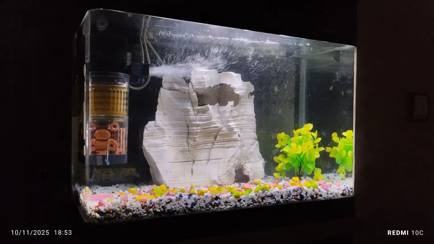 آکواریوم شیشه خم ( با تمام تجهیزات )|ماهی|تهران, جابری|دیوار