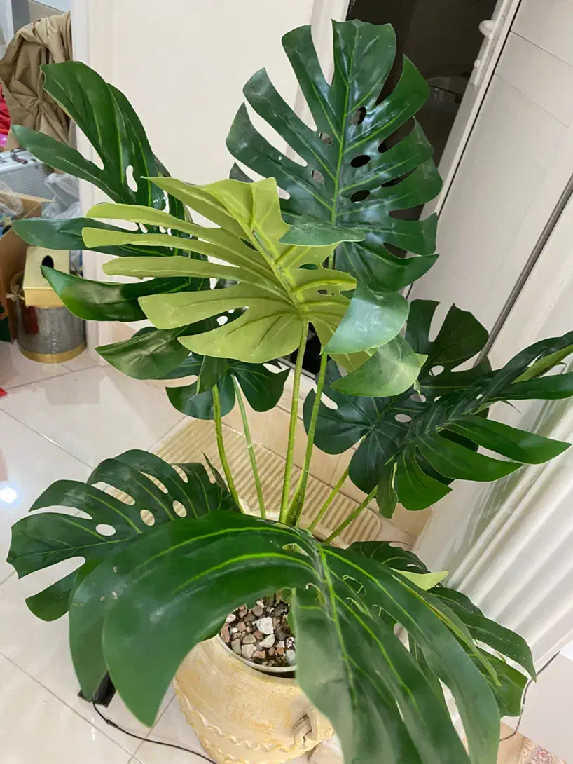 درختچه مصنوعی وارداتی بدون گلدان|گل مصنوعی|اسلام‌شهر, شهرک مهدیه|دیوار