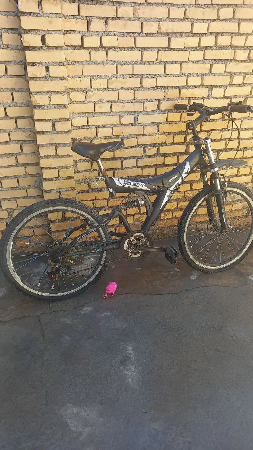 دوچرخه ۲۴|دوچرخه، اسکیت، اسکوتر|رامهرمز, |دیوار