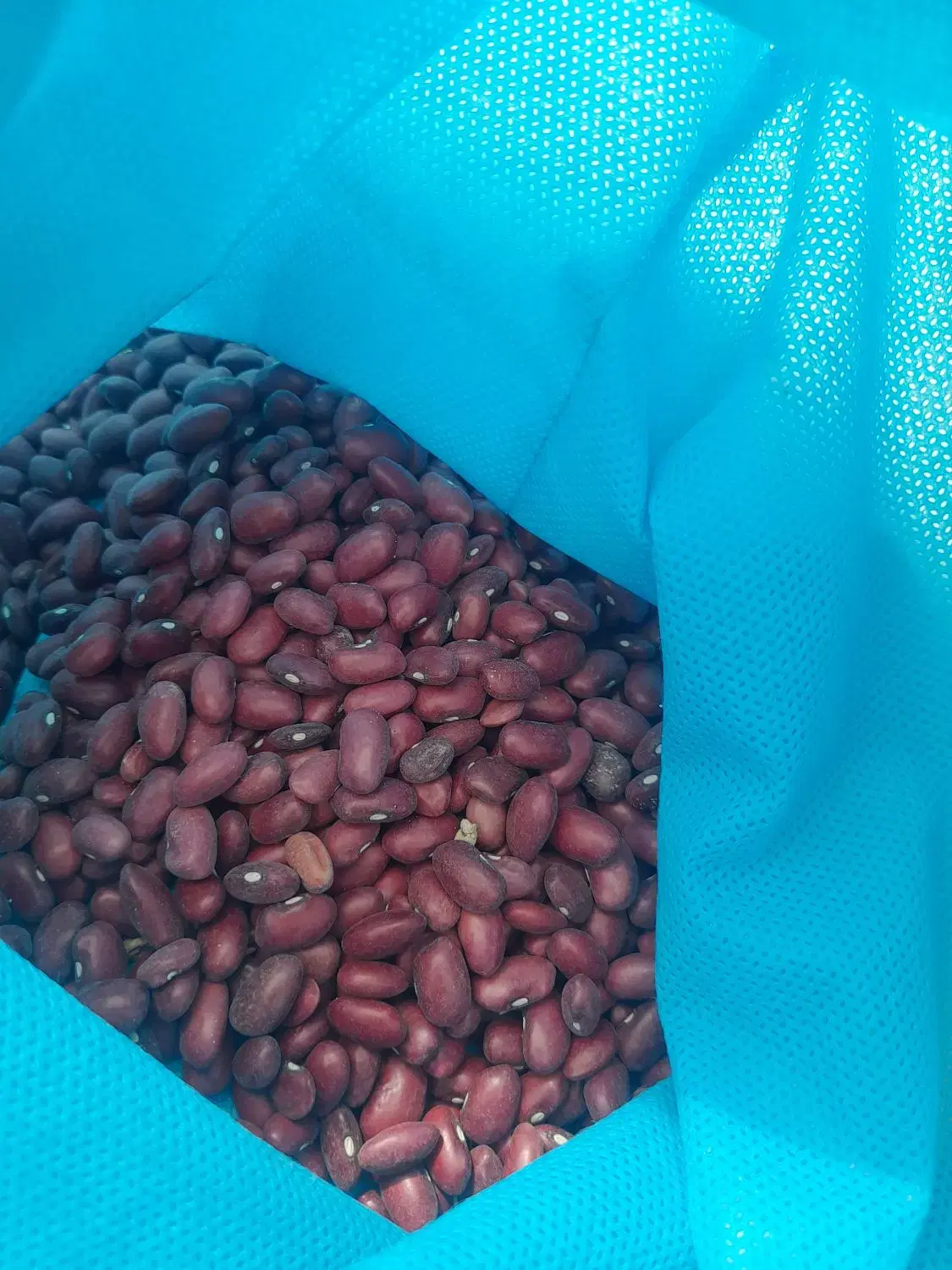لوبیا|خوردنی و آشامیدنی|چهاردولی, |دیوار