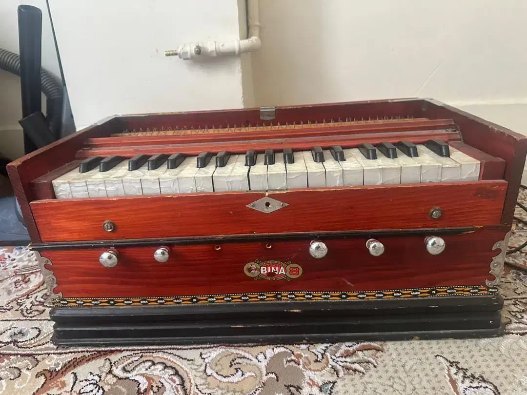 ارمنی|پیانو، کیبورد، آکاردئون|مشهد, کوشش|دیوار