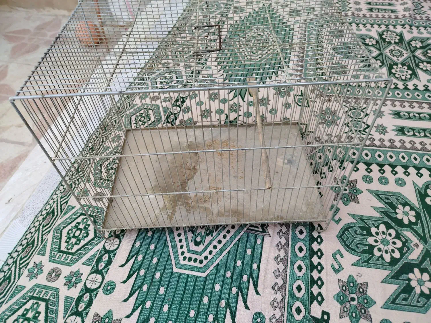 قفس پرنده بسیار محکم و بدون شکستگی|پرنده|سرپل ذهاب, |دیوار