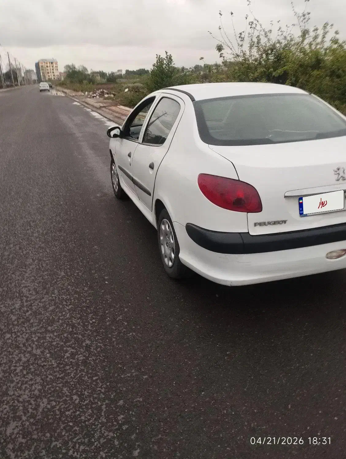 206 sd سفید|خودرو سواری و وانت|رشت, کاکتوس|دیوار