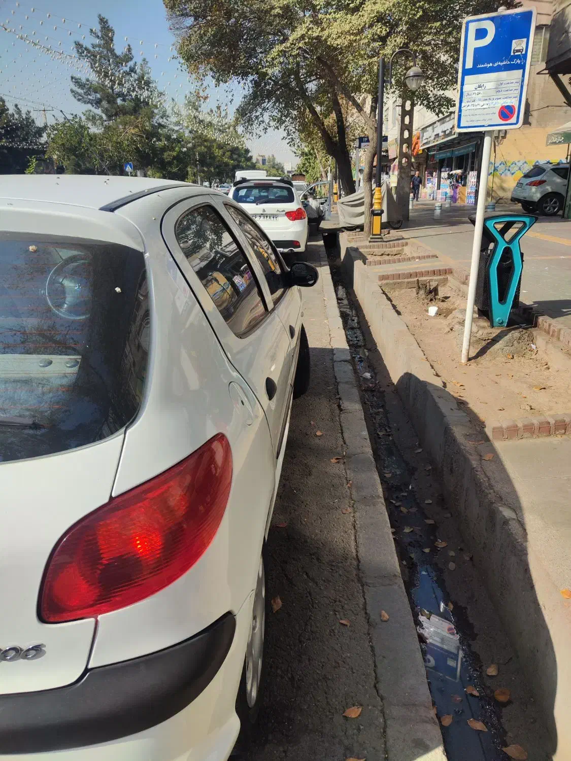 ۲۰۶تیپ ۲مدل۱۴۰۱|خودرو سواری و وانت|مشهد, مصلی (کارمندان اول)|دیوار