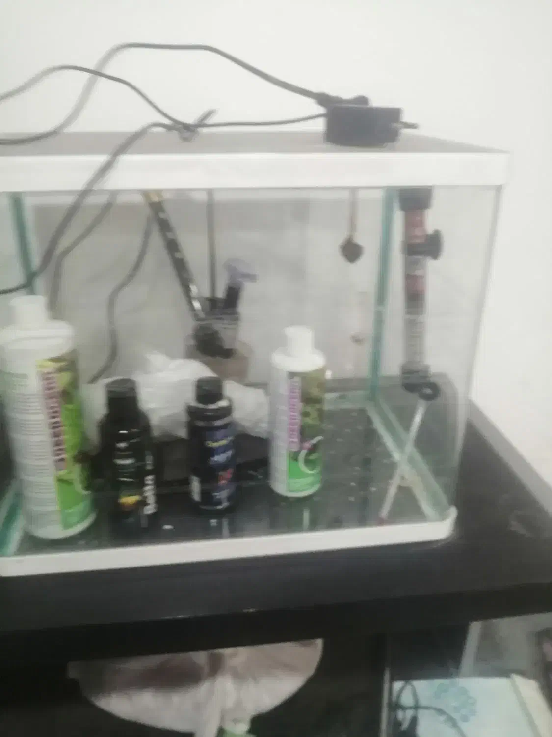 آکواریوم شرکتی با وسایل کامل|ماهی|مشهد, وکیل‌آباد|دیوار