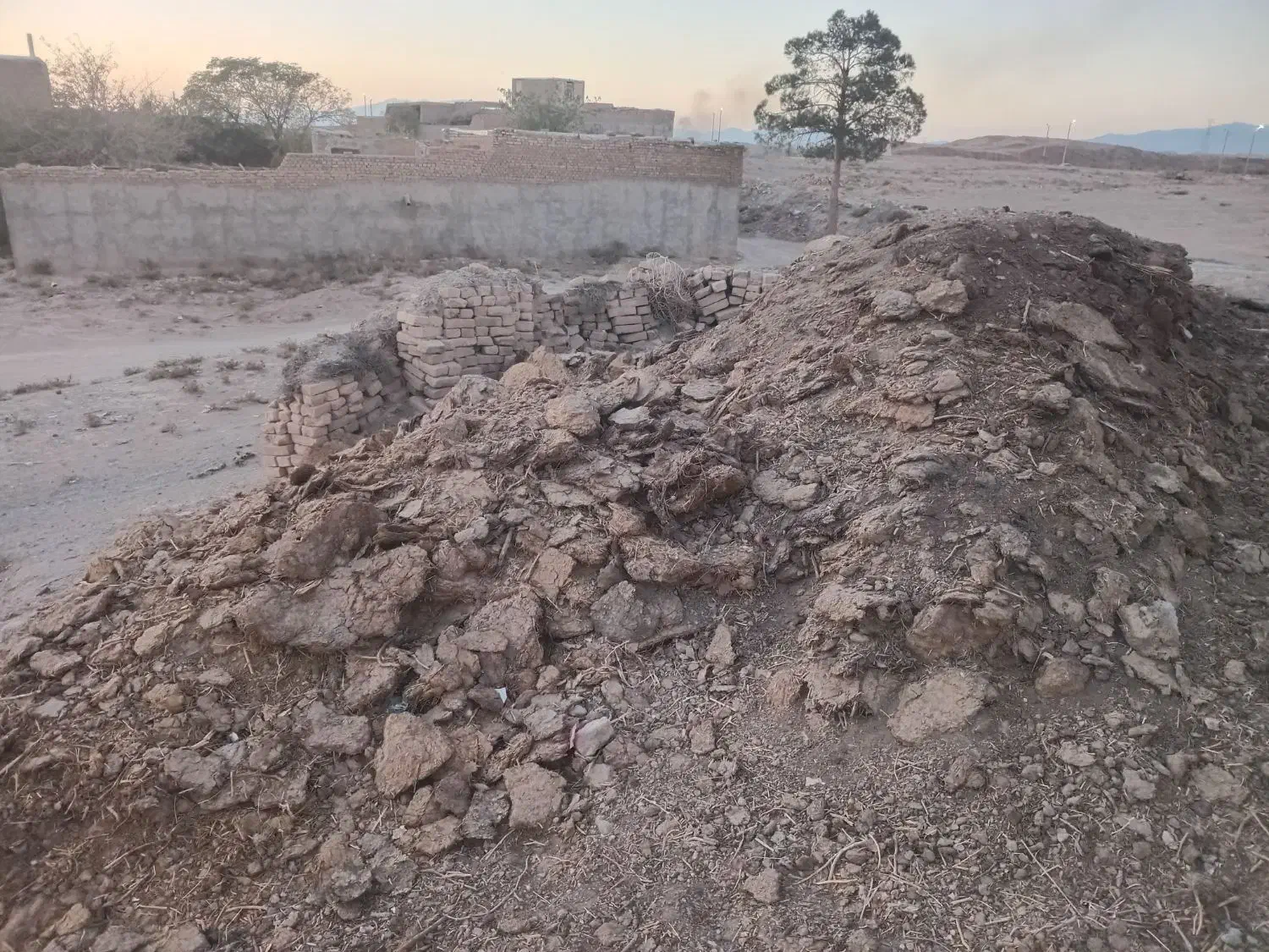 بارمرغ وگوسفند قر قاتیه|حیوانات مزرعه|سبزوار, گلشن|دیوار