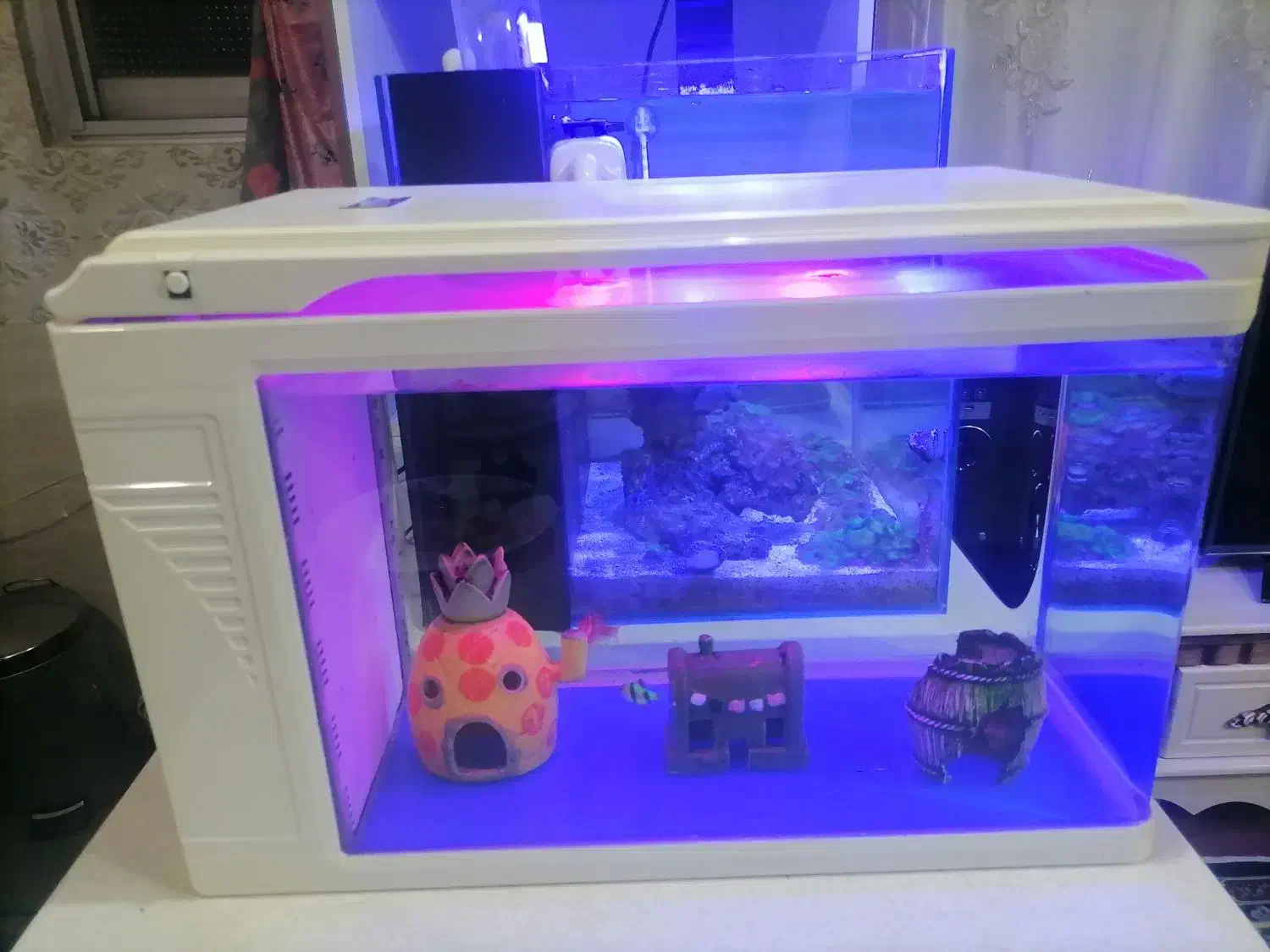 آکواریوم شیشه خم شرکتی کمری بک سامپ با لوازم وماهی|ماهی|تهران, دژکام|دیوار