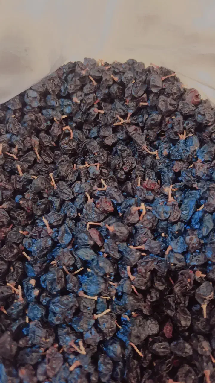 کشمش مویز رنگ شرابی تمیز|خوردنی و آشامیدنی|یاسوج, |دیوار