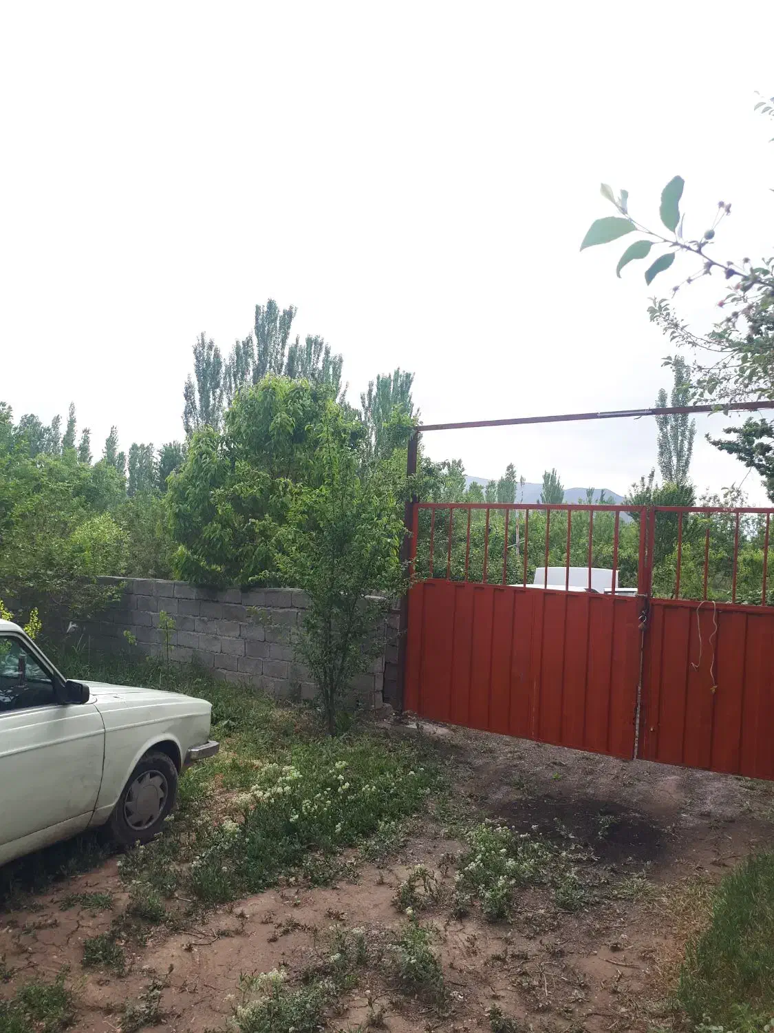 باغ و زمین زراعی در منطقه جاده قطور  خوی|فروش زمین و ملک کلنگی|خوی, |دیوار