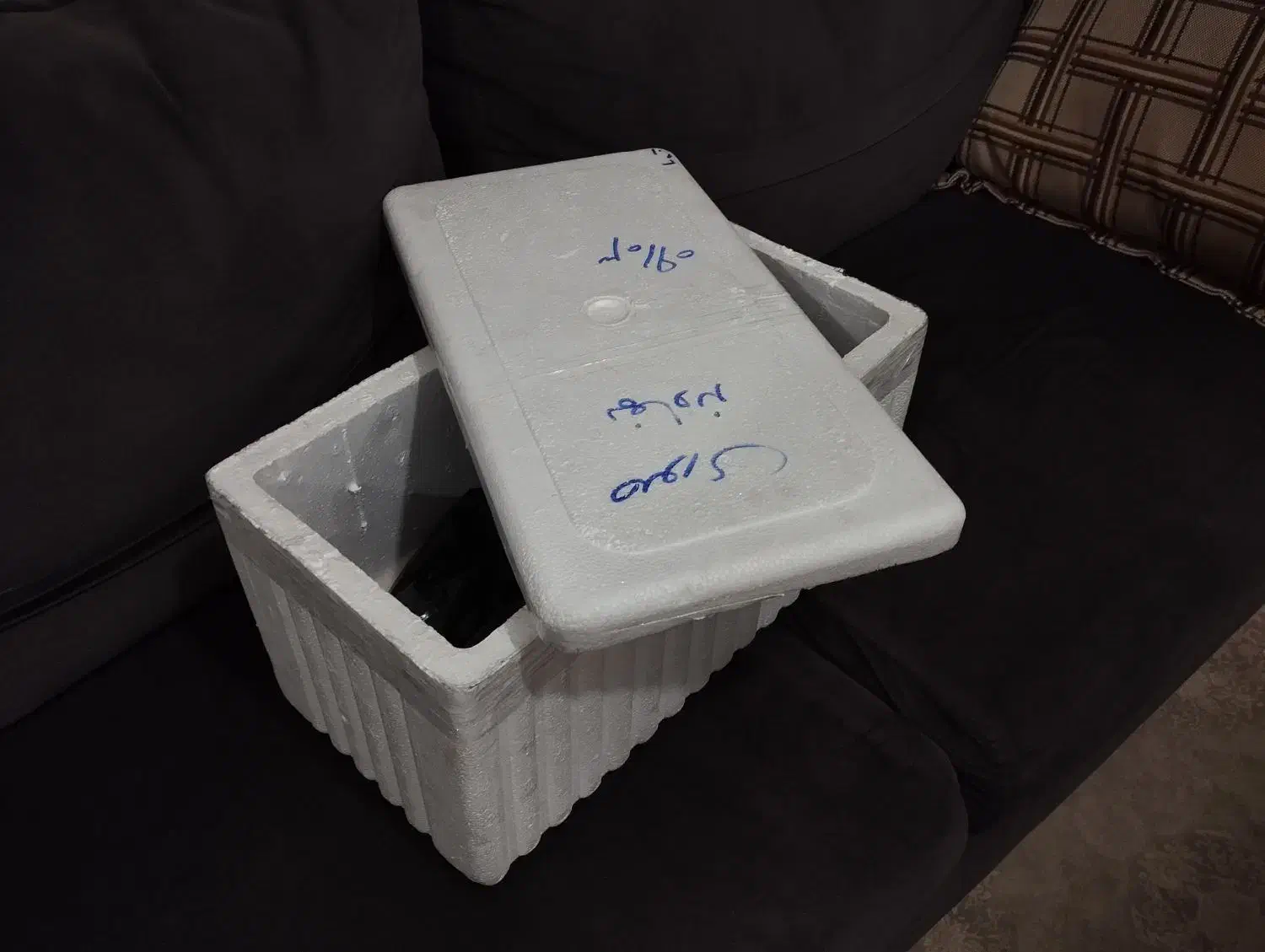 یخدان یونولیتی ، فیبر یخچالی|ظروف نگهدارنده، پلاستیکی، یکبارمصرف|نهاوند, |دیوار