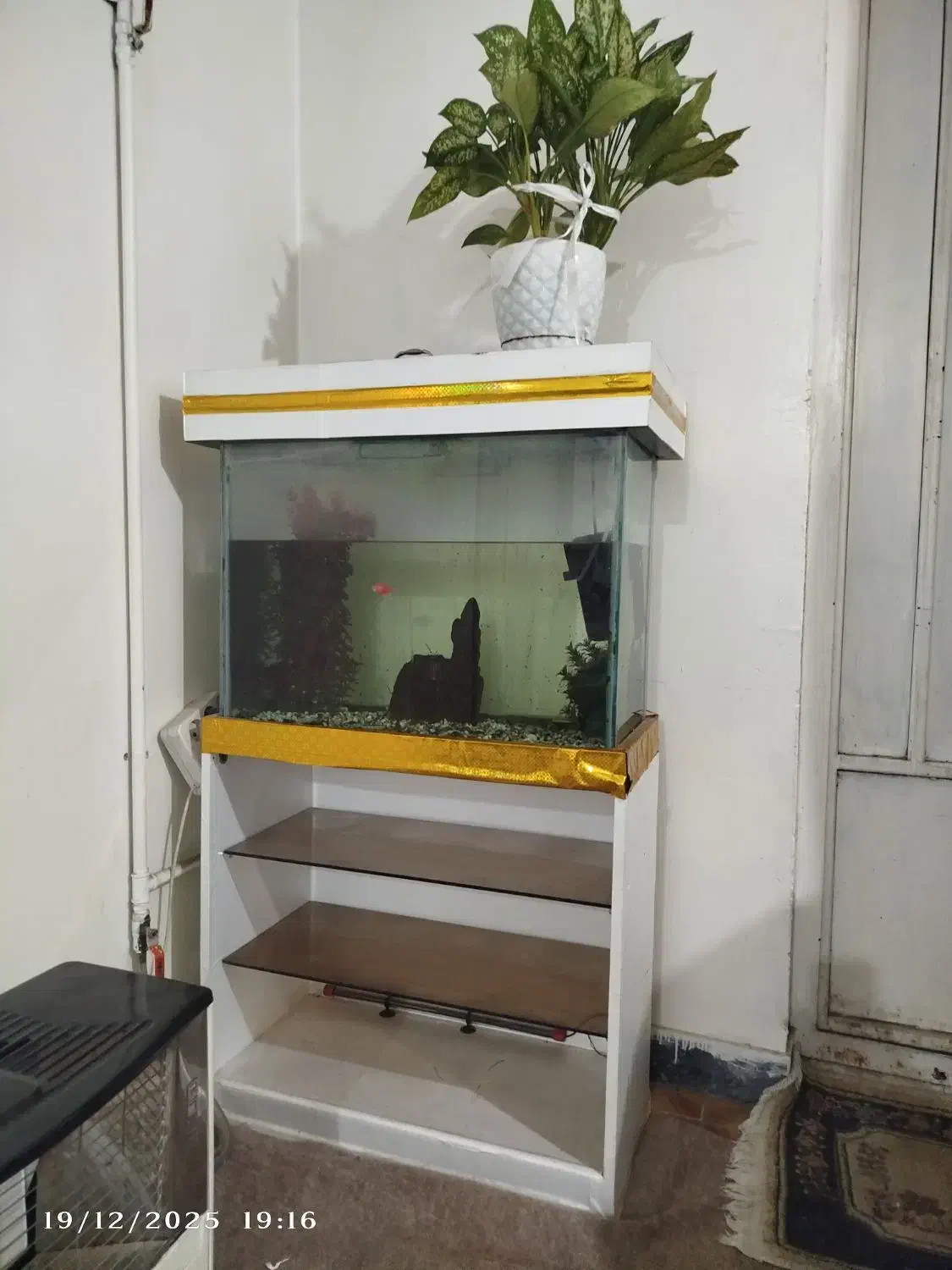 اکواریم|لوازم جانبی حیوانات|اهواز, مستغلات|دیوار