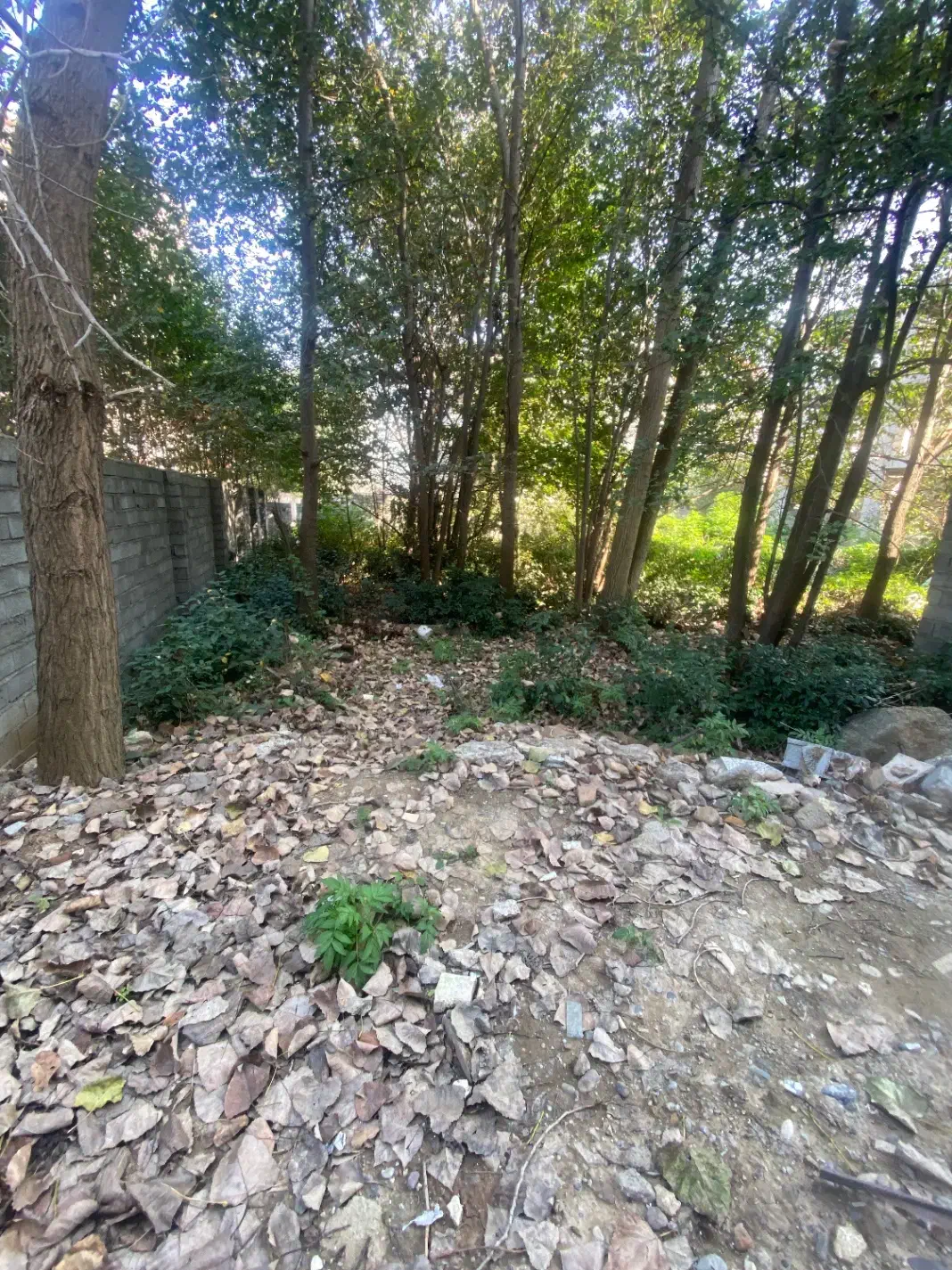 فروش زمین شهری ۲۷۱ متری واقع در آزادگان|فروش زمین و ملک کلنگی|لاهیجان, کوی خزر|دیوار