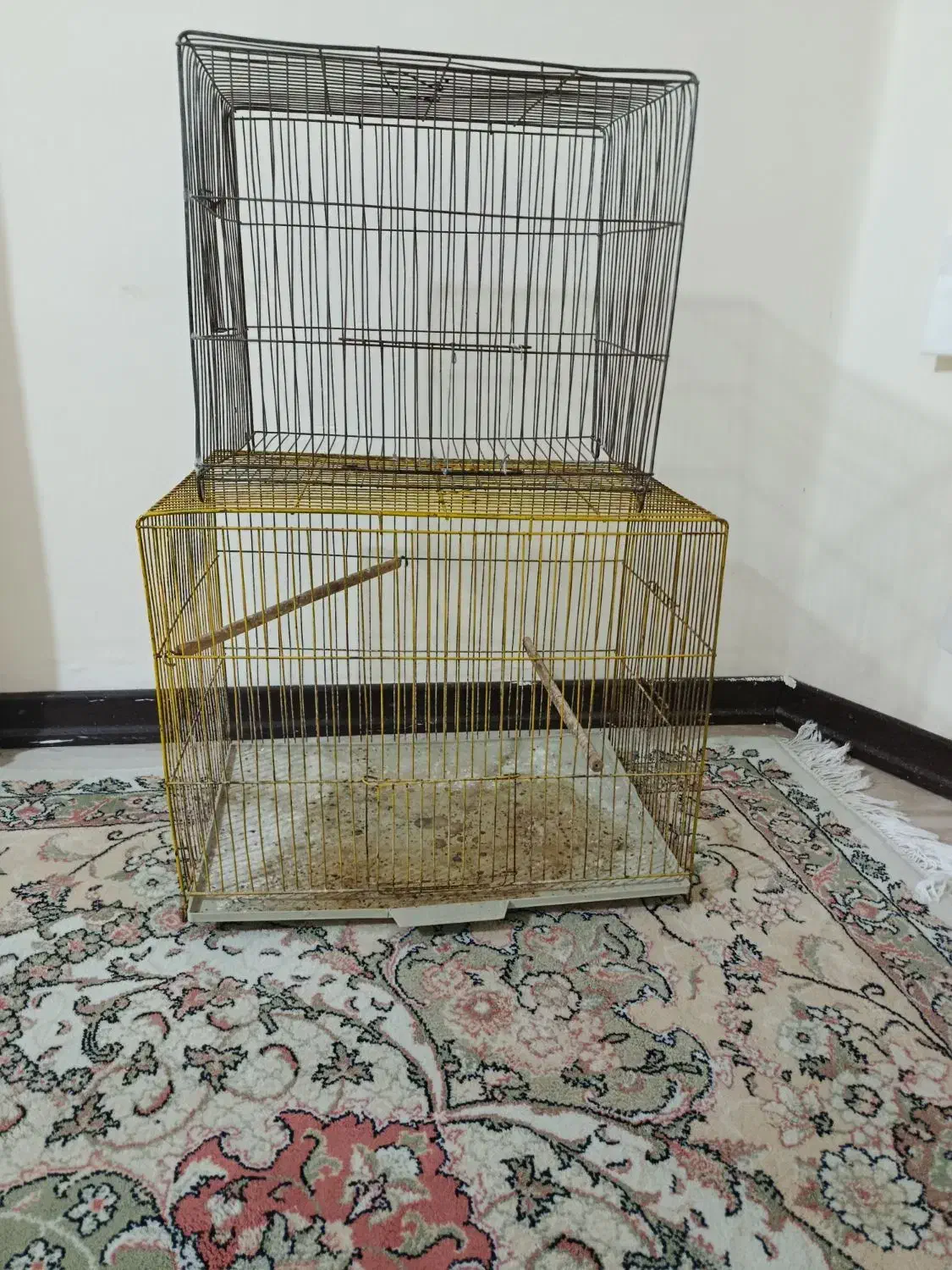 قفس مرغ عشق،طوطی،قناری|لوازم جانبی حیوانات|آمل, |دیوار