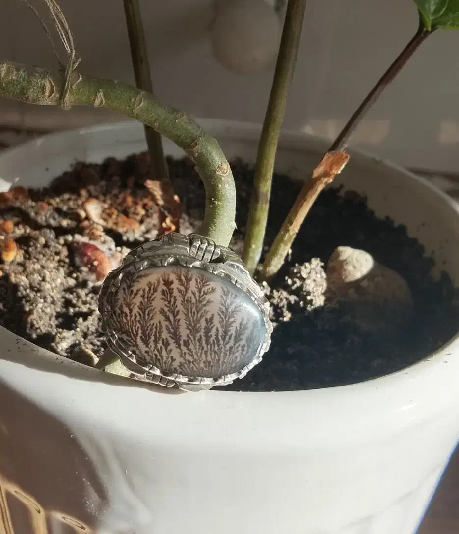 شجر منظره بی نقص|جواهرات|سقز, |دیوار