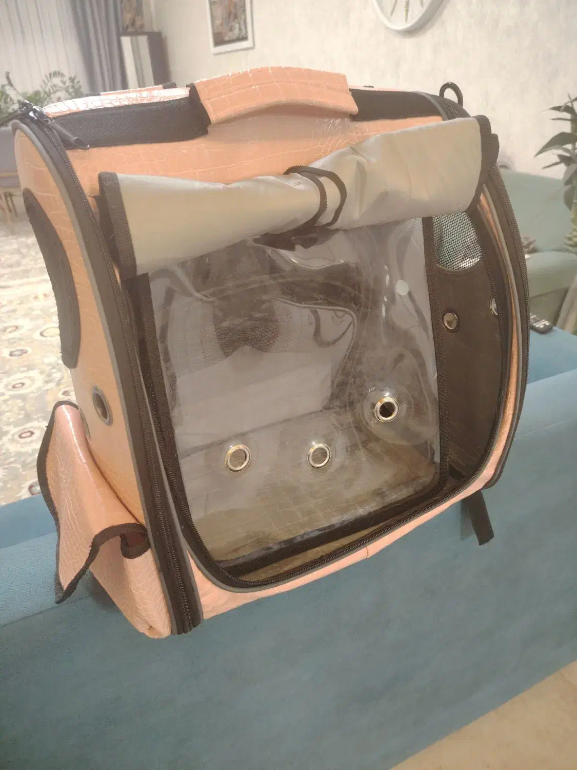 کیف رودوشی حمل سگ و گربه|لوازم جانبی حیوانات|آستارا, |دیوار