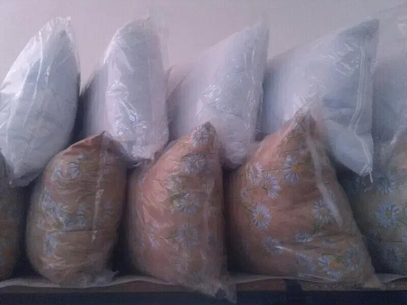 بالشت طبی  اصل|رختخواب، بالش، پتو|سقز, |دیوار