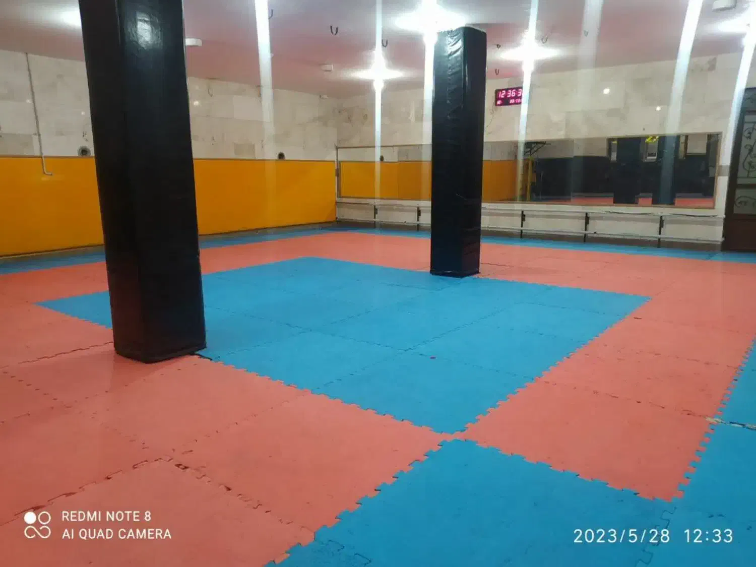 باشگاه ورزشی بانوان|خدمات آموزشی|مشهد, کوشش|دیوار