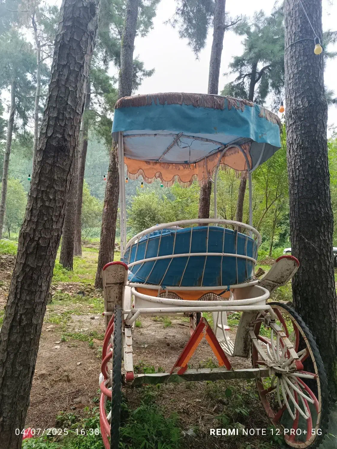 کالسکه اسب|کالسکه و لوازم جانبی|سنگر, |دیوار