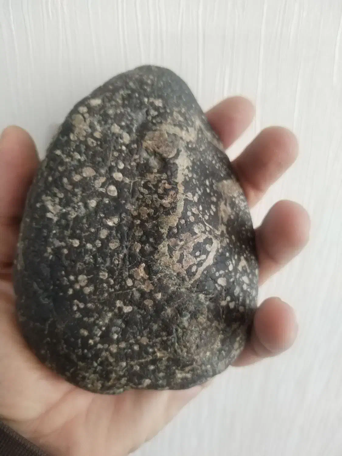 شهاب سنگ|کلکسیون اشیاء عتیقه|شیراز, زرگری|دیوار