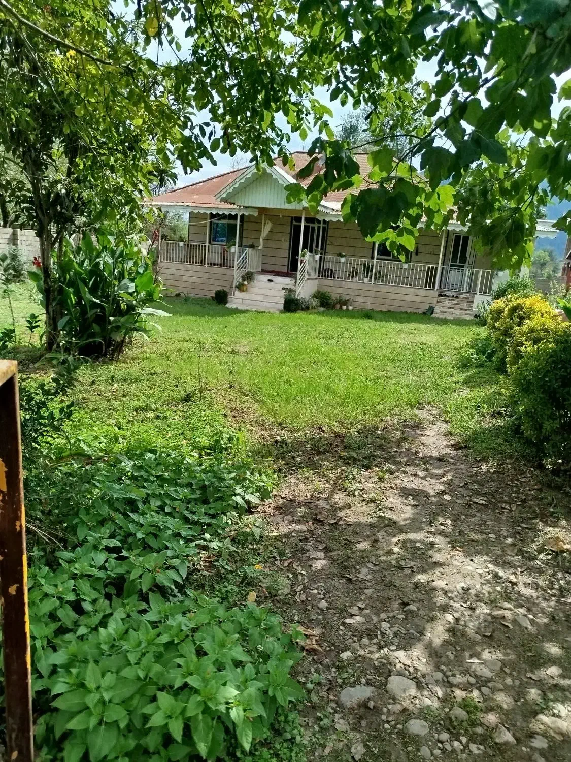 650متر زمین 100بنا تک برگ سند پای کوه شاندرمن|فروش خانه و ویلا|ماسال, |دیوار