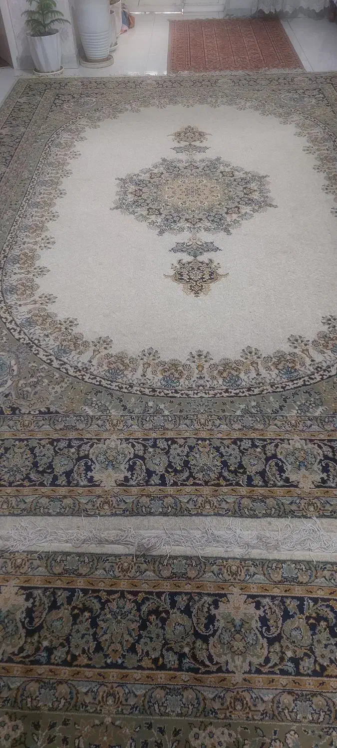 فرش|فرش|شیراز, میانرود|دیوار