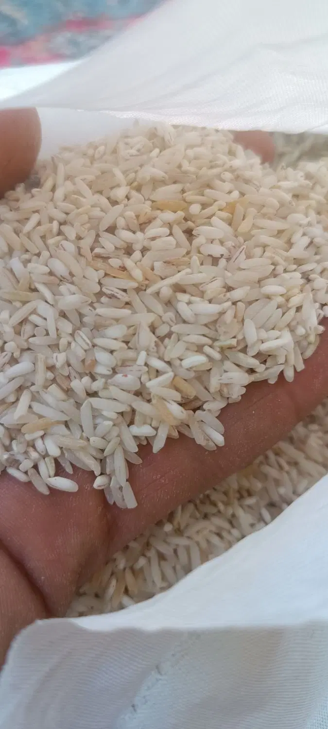 برنج|خوردنی و آشامیدنی|دماوند, دماوند|دیوار