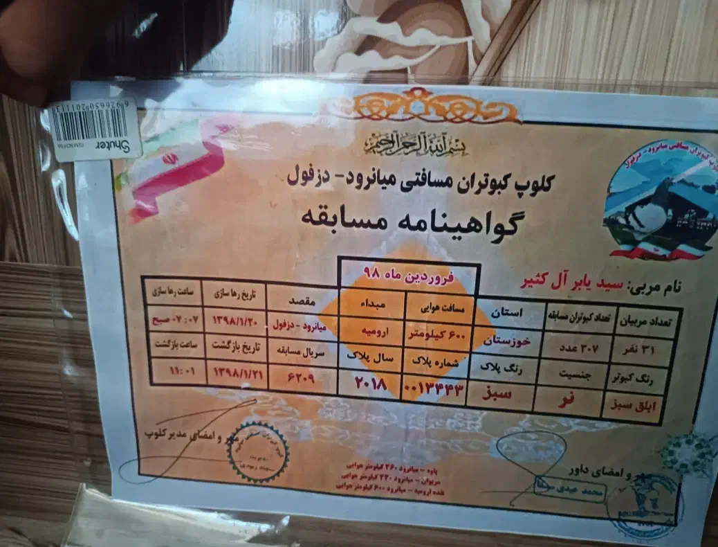 کفتر مجسمه|مجسمه، تندیس، ماکت|هامون, |دیوار