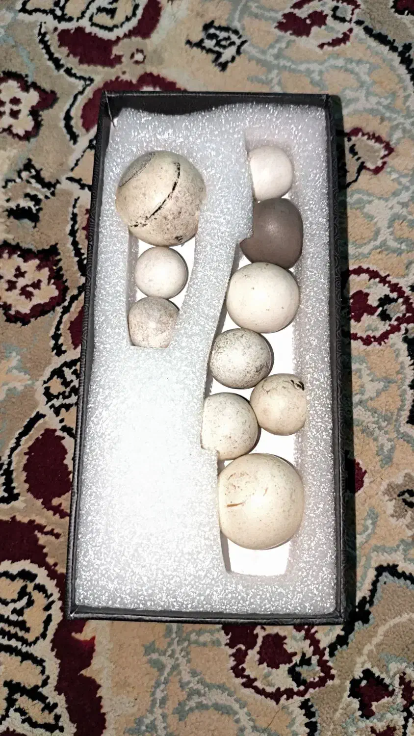 سنگ مهره کهنه|جواهرات|قم, شهرک امام حسین|دیوار